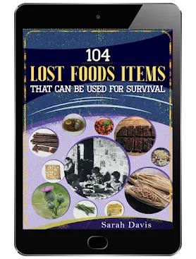104 Long-Lasting Foods bonus ebook cover by Sarah Davis