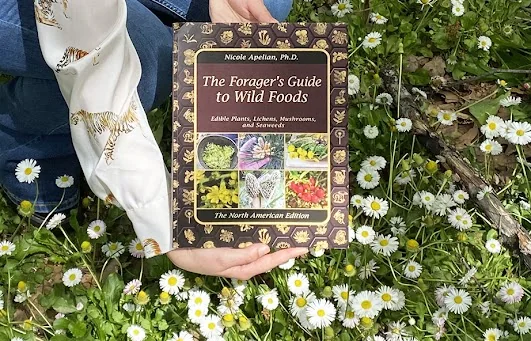 Hand holding The Forager's Guide to Wild Foods book in a meadow of wild daisies