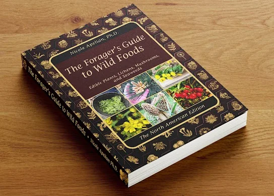 The Forager's Guide to Wild Foods paperback showing its spine and cover