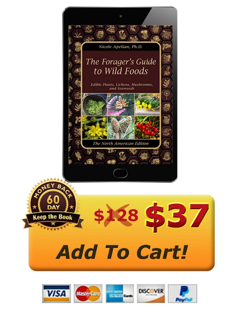 The Forager's Guide to Wild Foods digital book offer for $37 on a tablet
