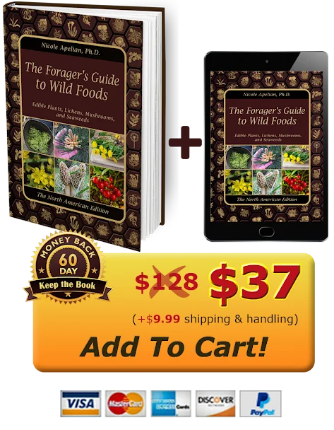 The Forager's Guide to Wild Foods physical paperback plus digital book offer for $37 plus shipping