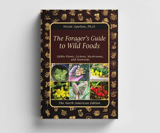 Front cover of The Forager's Guide to Wild Foods: Edible Plants, Lichens, Mushrooms, and Seaweeds, North American Edition